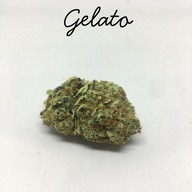 Gelato