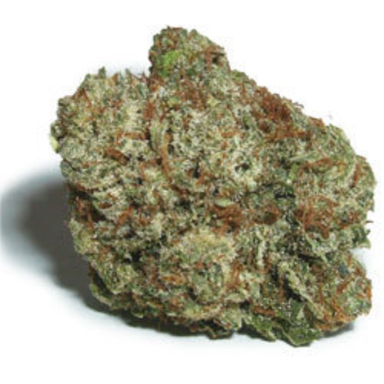 Alien O.g.