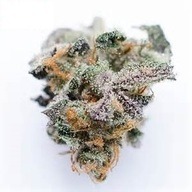 Sunset Sherbet