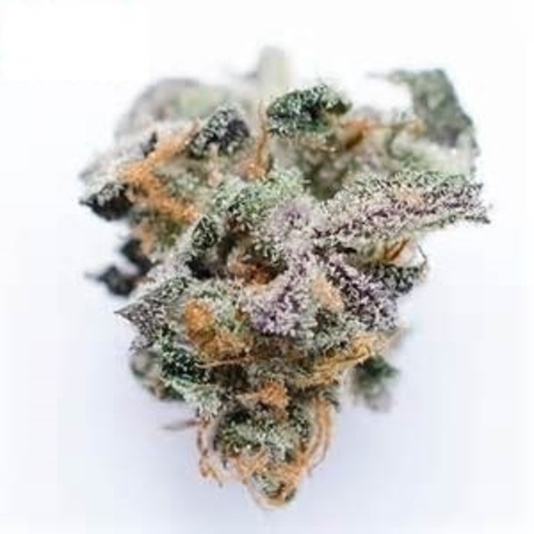 Sunset Sherbet