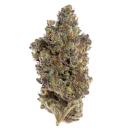Xxx Og