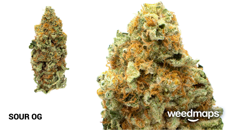 Sour Og