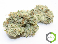 Gorilla Glue #4