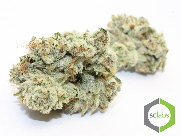 Gorilla Glue #4