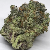 Gelato
