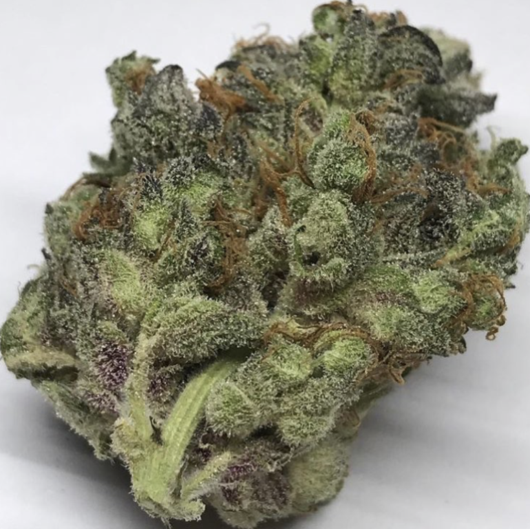 Gelato