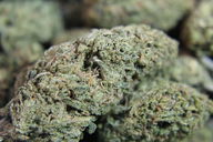 Blue Dream